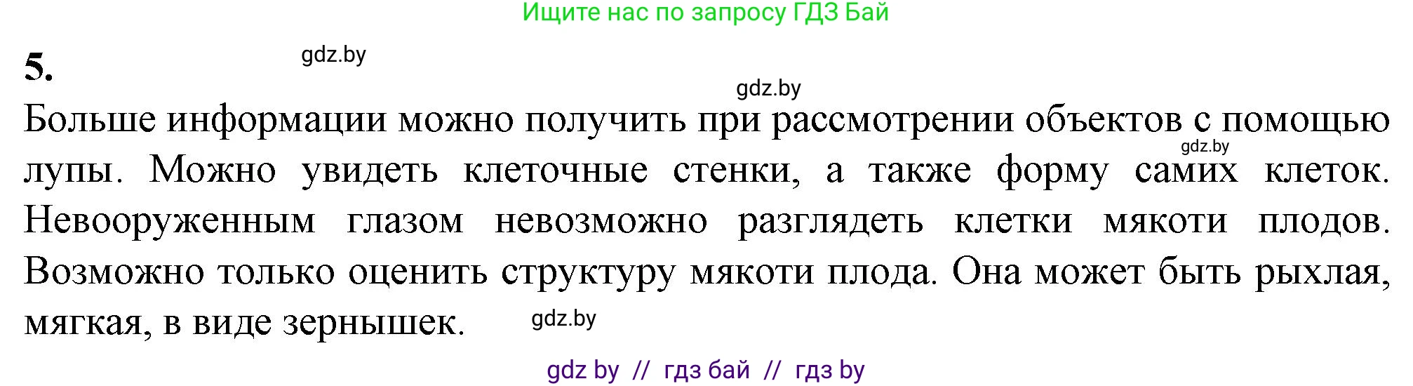 Биология, 6 класс Тетрадь для лабораторных и практических работ, авторы: Лисов Николай Дмитриевич, Борщевская Елена Валерьевна, издательство Аверсэв, Минск, 2023, салатового цвета, страница 5, номер 5, Решение
