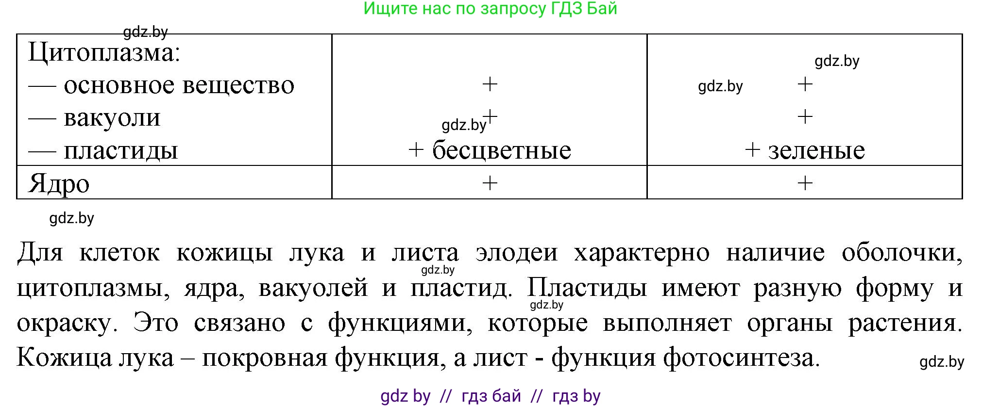 Биология, 6 класс Тетрадь для лабораторных и практических работ, авторы: Лисов Николай Дмитриевич, Борщевская Елена Валерьевна, издательство Аверсэв, Минск, 2023, салатового цвета, страница 23, номер 7, Решение (продолжение 2)