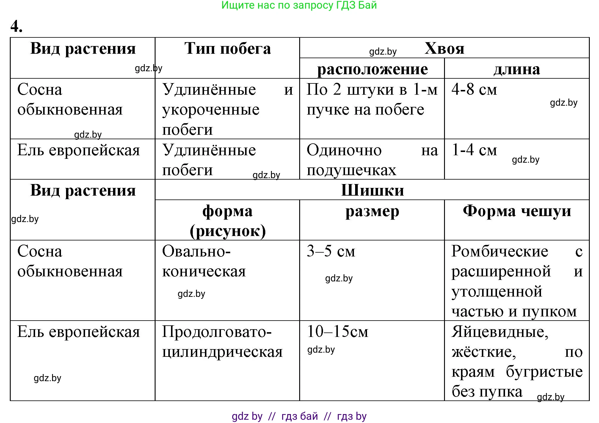 Биология, 7 класс Тетрадь для лабораторных и практических работ, автор: Лисов Николай Дмитриевич, издательство Аверсэв, Минск, 2022, зелёного цвета, страница 24, номер 4, Решение