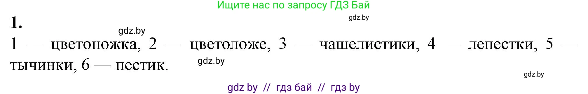 Биология, 7 класс Тетрадь для лабораторных и практических работ, автор: Лисов Николай Дмитриевич, издательство Аверсэв, Минск, 2022, зелёного цвета, страница 47, номер 1, Решение