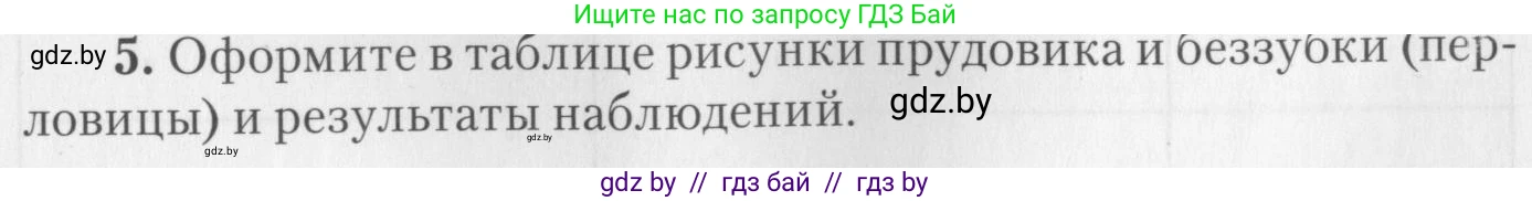Биология, 8 класс тетрадь для экскусрий, лабораторных и практических работ, автор: Рогожников Олег Николаевич, издательство Сэр-Вит, Минск, 2021, сиреневого цвета, страница 7, номер 5, Условие