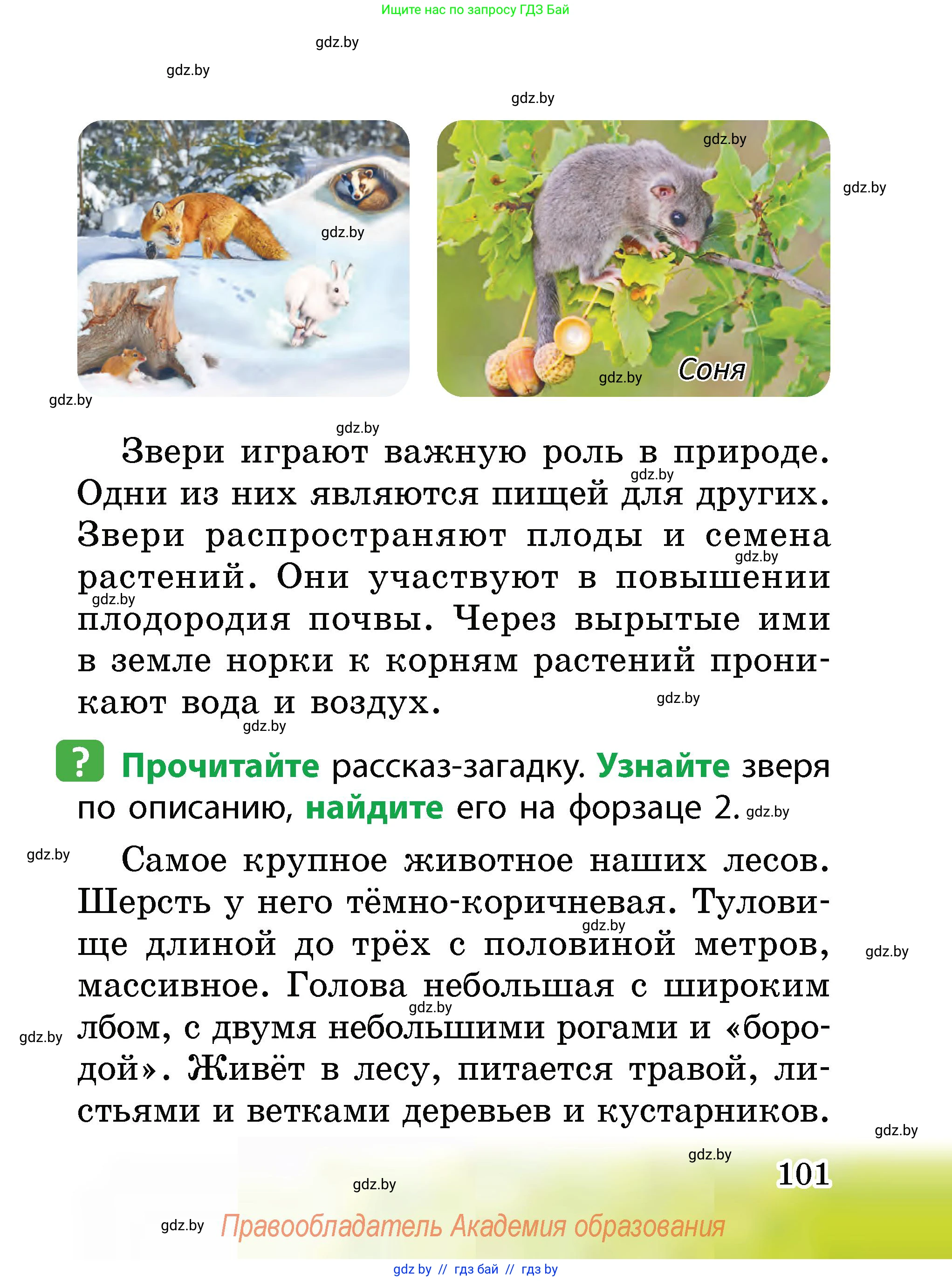 Человек и мир, 2 класс Учебник, авторы: Трафимова Галина Владимировна, Трафимов Сергей Анатольевич, издательство Академия образования, Минск, 2024, страница 101