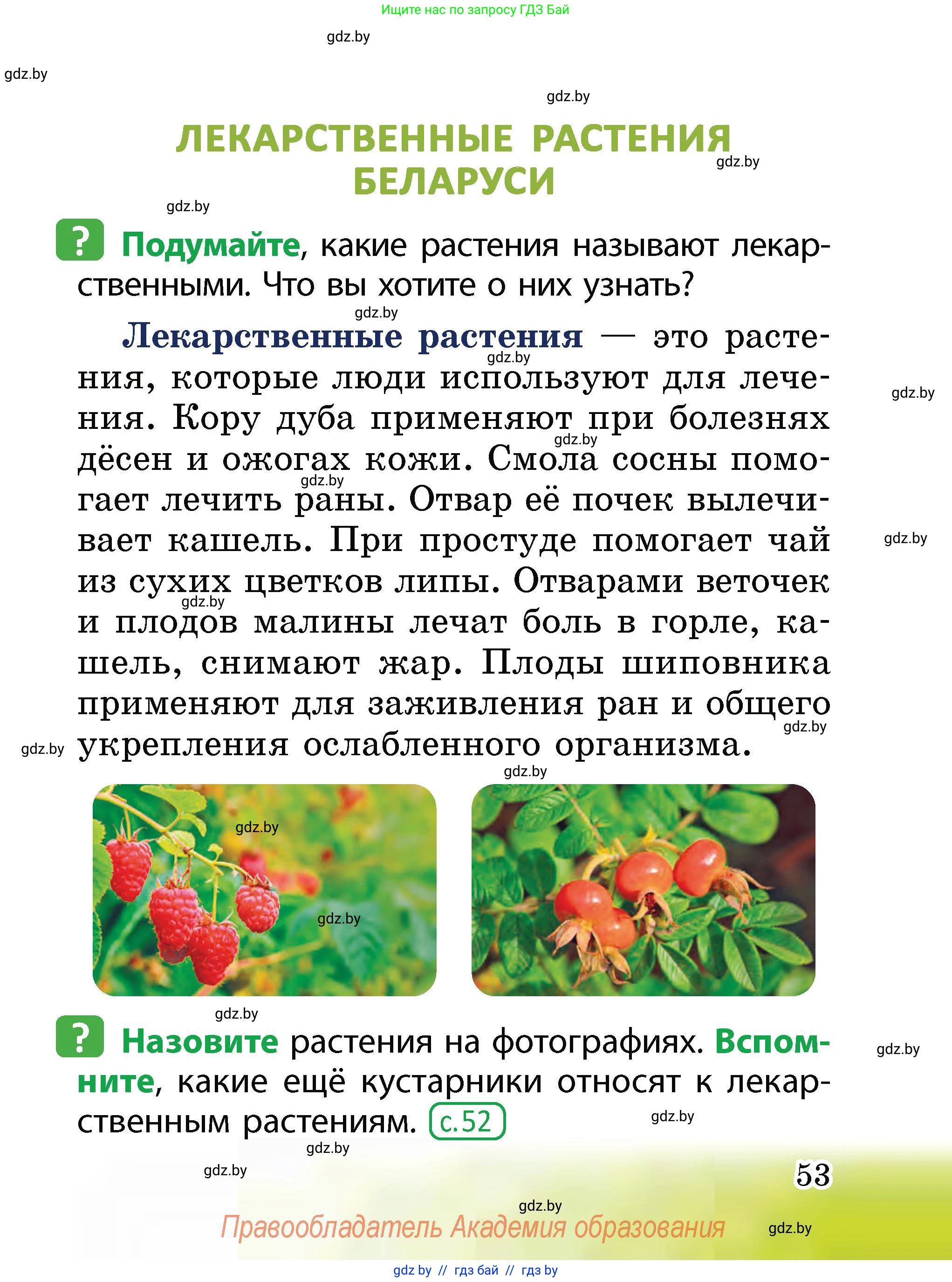 Человек и мир, 2 класс Учебник, авторы: Трафимова Галина Владимировна, Трафимов Сергей Анатольевич, издательство Академия образования, Минск, 2024, страница 53