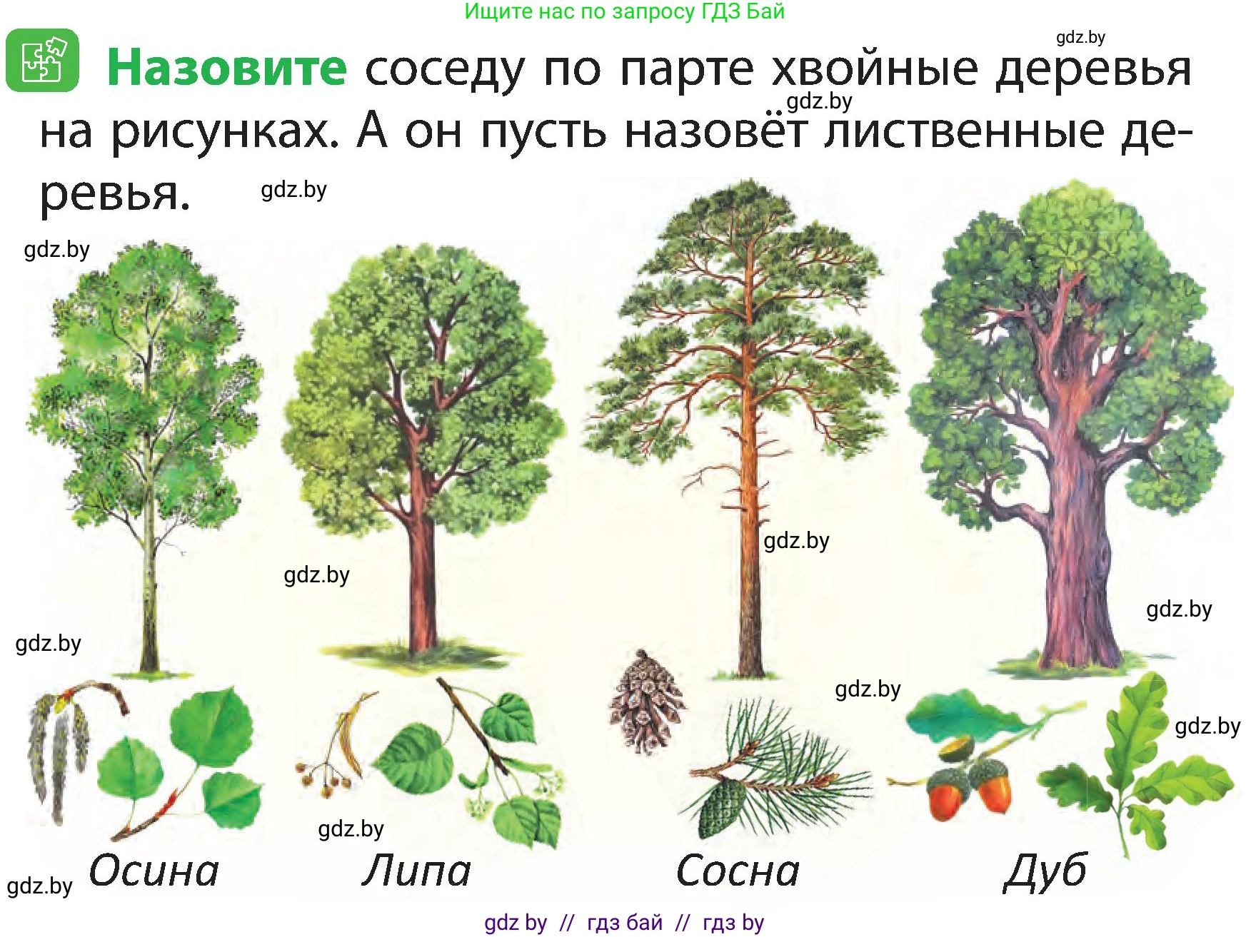 Человек и мир, 2 класс Учебник, авторы: Трафимова Галина Владимировна, Трафимов Сергей Анатольевич, издательство Академия образования, Минск, 2024, страница 45, номер 3, Условие