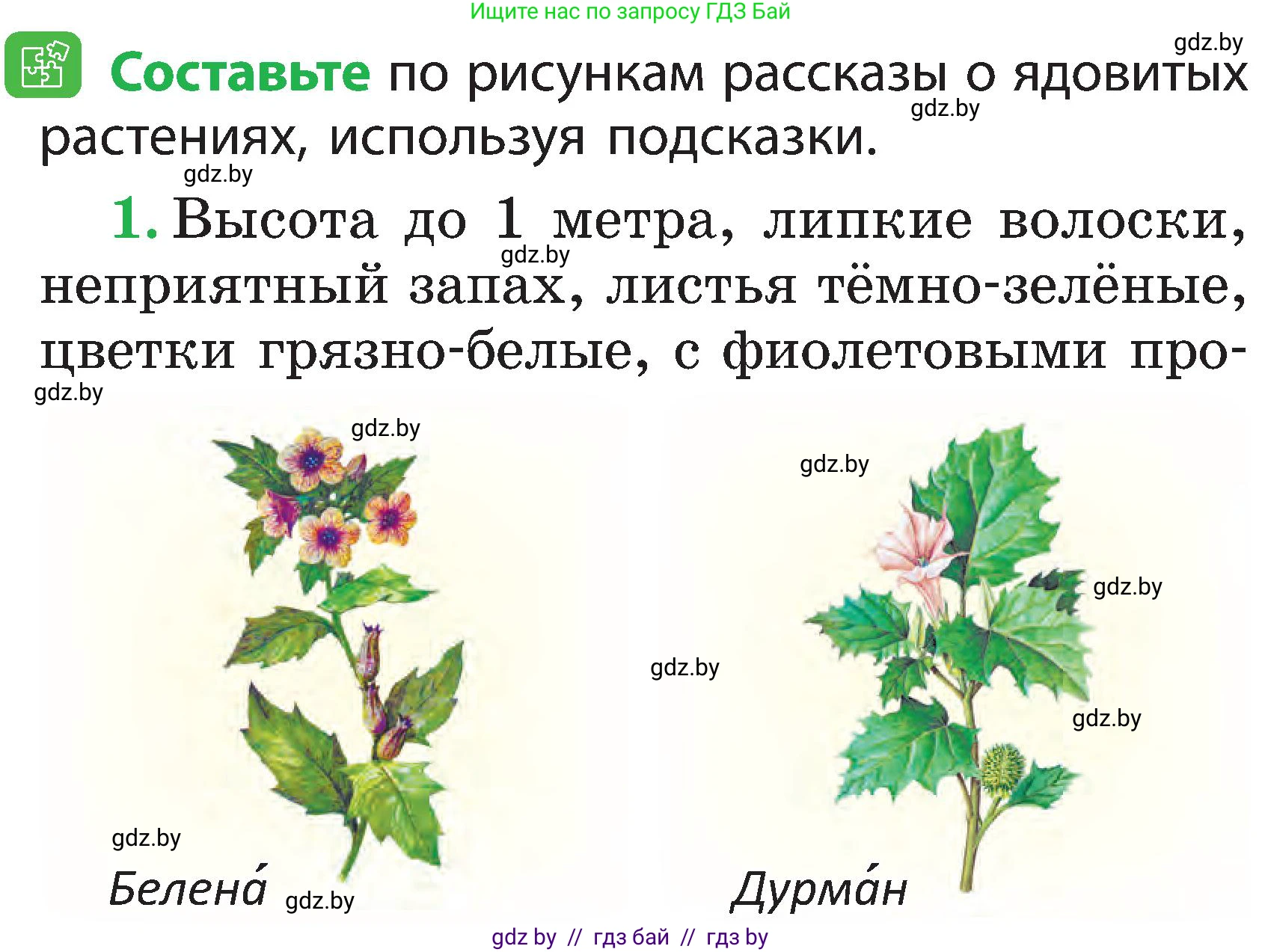 Человек и мир, 2 класс Учебник, авторы: Трафимова Галина Владимировна, Трафимов Сергей Анатольевич, издательство Академия образования, Минск, 2024, страница 56, номер 2, Условие