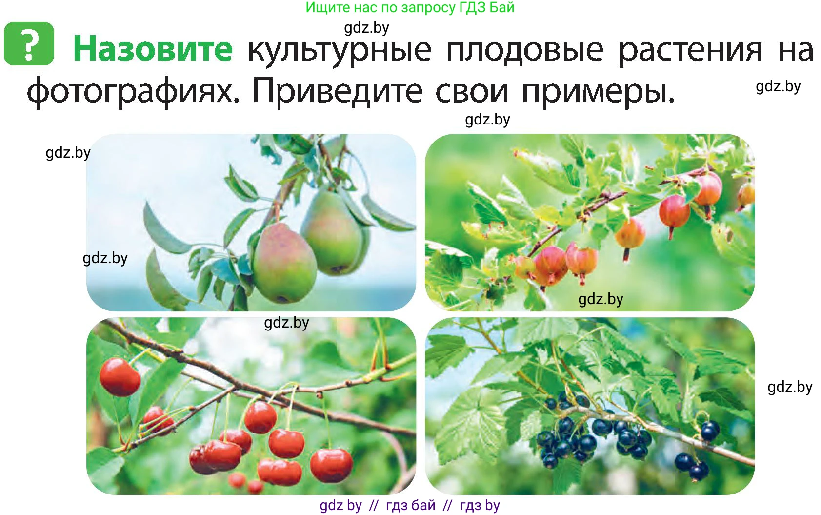 Человек и мир, 2 класс Учебник, авторы: Трафимова Галина Владимировна, Трафимов Сергей Анатольевич, издательство Академия образования, Минск, 2024, страница 65, номер 3, Условие