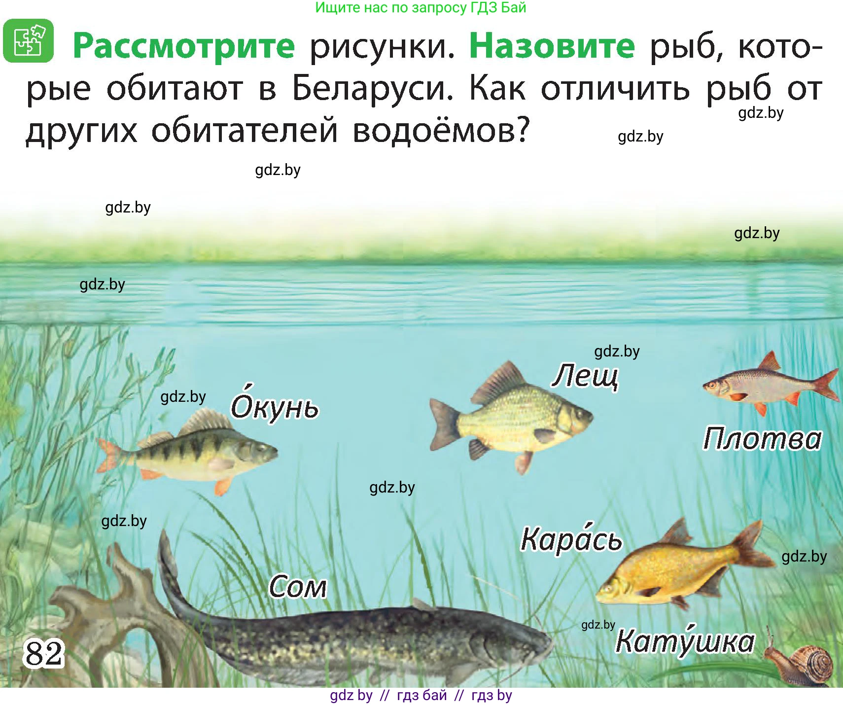 Человек и мир, 2 класс Учебник, авторы: Трафимова Галина Владимировна, Трафимов Сергей Анатольевич, издательство Академия образования, Минск, 2024, страница 82, номер 2, Условие