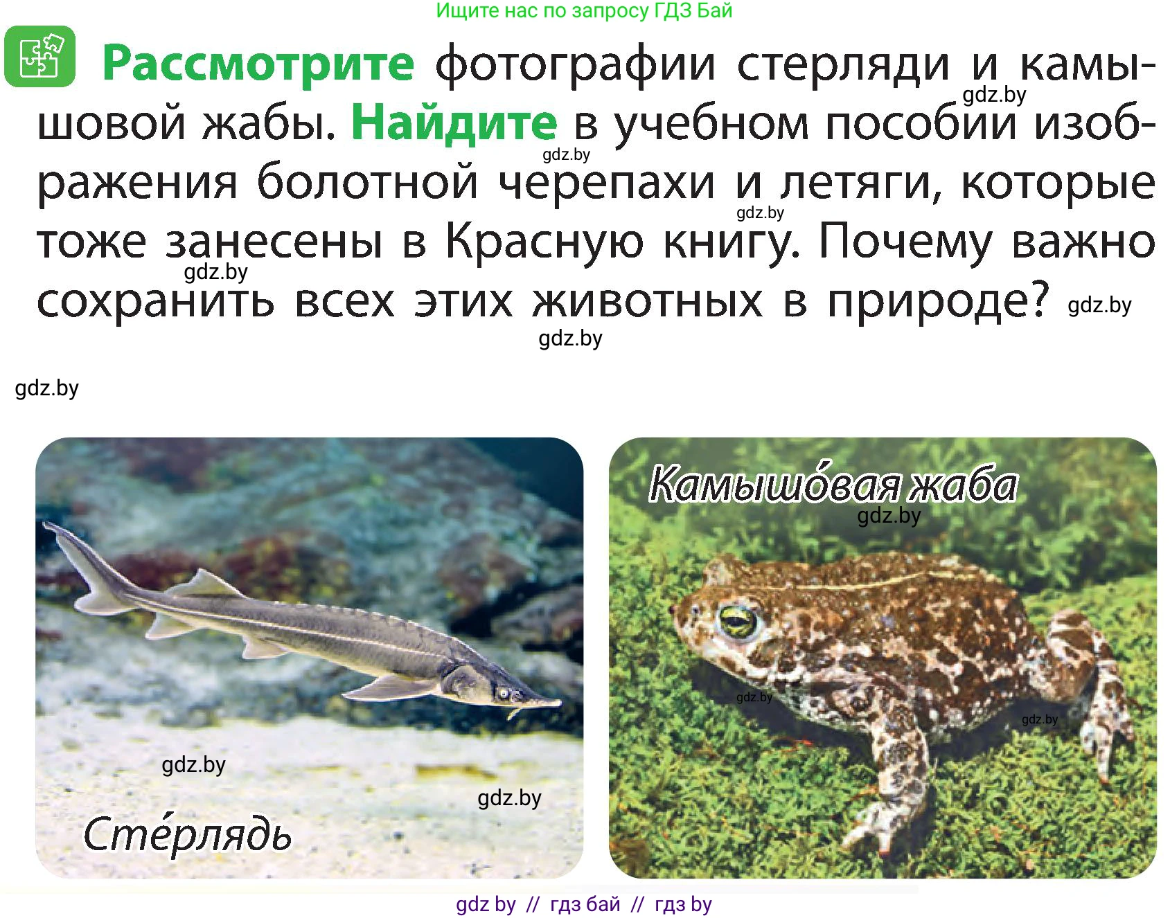 Человек и мир, 2 класс Учебник, авторы: Трафимова Галина Владимировна, Трафимов Сергей Анатольевич, издательство Академия образования, Минск, 2024, страница 108, номер 3, Условие