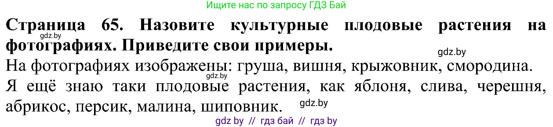 Человек и мир, 2 класс Учебник, авторы: Трафимова Галина Владимировна, Трафимов Сергей Анатольевич, издательство Академия образования, Минск, 2024, страница 65, номер 3, Решение