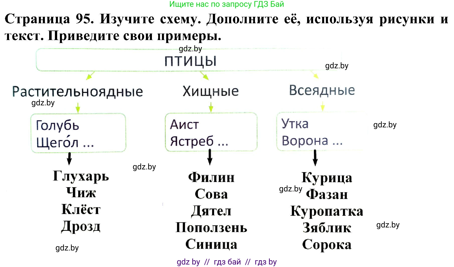 Человек и мир, 2 класс Учебник, авторы: Трафимова Галина Владимировна, Трафимов Сергей Анатольевич, издательство Академия образования, Минск, 2024, страница 95, номер 2, Решение