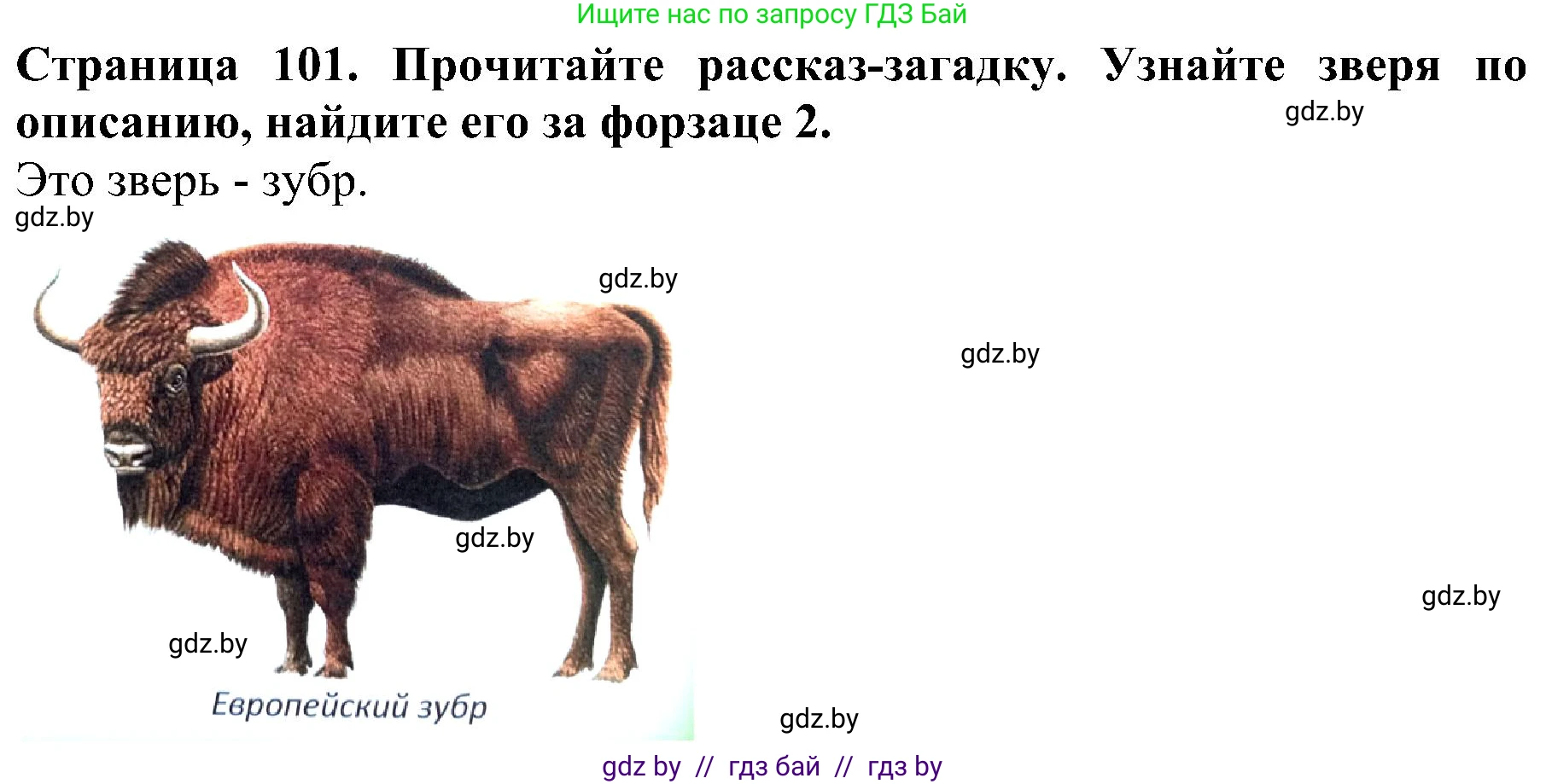 Человек и мир, 2 класс Учебник, авторы: Трафимова Галина Владимировна, Трафимов Сергей Анатольевич, издательство Академия образования, Минск, 2024, страница 101, номер 6, Решение