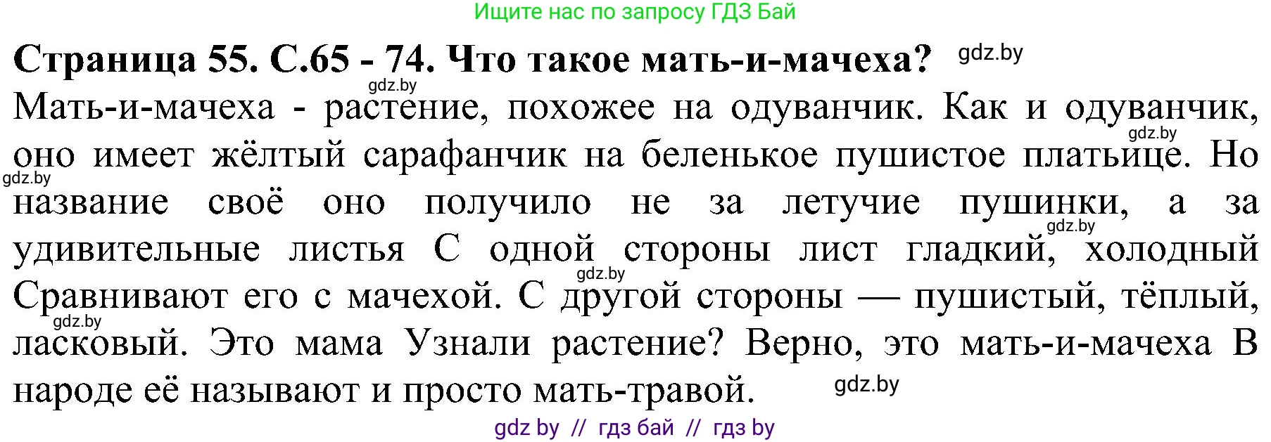 Человек и мир, 2 класс Учебник, авторы: Трафимова Галина Владимировна, Трафимов Сергей Анатольевич, издательство Академия образования, Минск, 2024, страница 55, номер 3, Решение