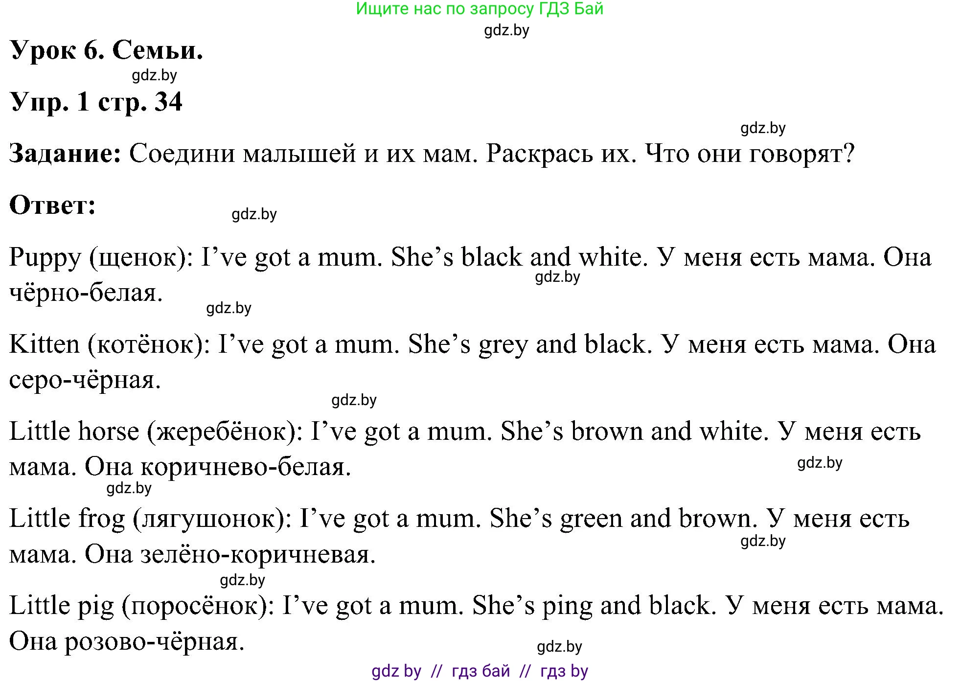 Английский язык (english), 3 класс практикум (activity book ), авторы: Лапицкая Людмила Михайловна (Lapitskaya Ludmila), Калишевич Алла Ивановна, Севрюкова Татьяна Юрьевна, Седунова Наталья Михайловна (Sedunova Natalia), издательство Аверсэв, Минск, 2023, зелёного цвета, Часть 1, страница 34, номер 1, Решение