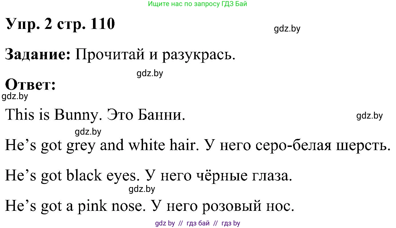 Английский язык (english), 3 класс практикум (activity book ), авторы: Лапицкая Людмила Михайловна (Lapitskaya Ludmila), Калишевич Алла Ивановна, Севрюкова Татьяна Юрьевна, Седунова Наталья Михайловна (Sedunova Natalia), издательство Аверсэв, Минск, 2023, зелёного цвета, Часть 2, страница 110, номер 2, Решение
