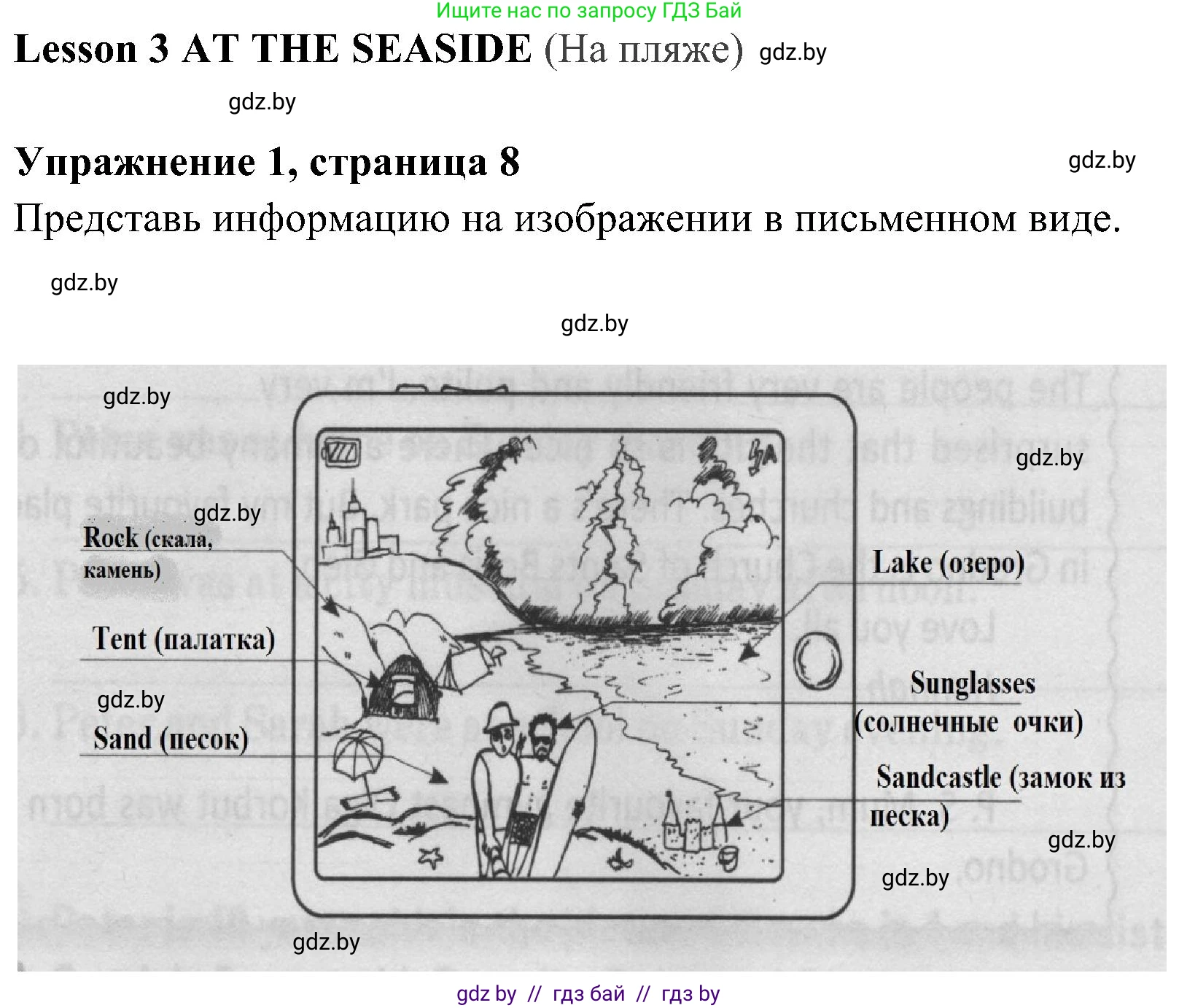 Английский язык (english), 5 класс практикум (activity book ), авторы: Демченко Наталья Валентиновна, Севрюкова Татьяна Юрьевна, Наумова Елена Георгиевна, Лапицкая Людмила Михайловна (Lapitskaya Ludmila), Юхнель Наталья Валентиновна, издательство Аверсэв, Минск, 2019, зелёного цвета, Часть 1, страница 8, номер 1, Решение 1