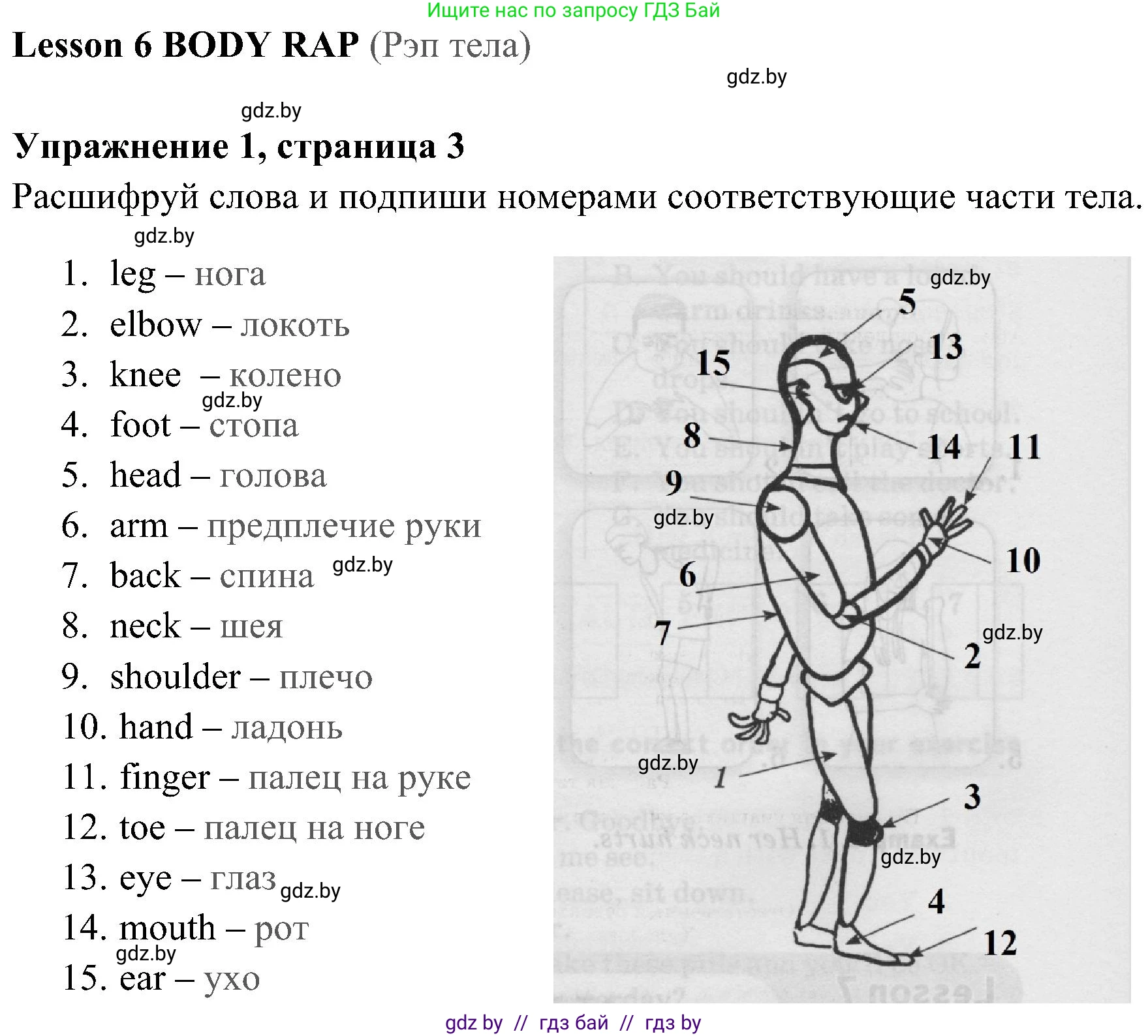Английский язык (english), 5 класс практикум (activity book ), авторы: Демченко Наталья Валентиновна, Севрюкова Татьяна Юрьевна, Наумова Елена Георгиевна, Лапицкая Людмила Михайловна (Lapitskaya Ludmila), Юхнель Наталья Валентиновна, издательство Аверсэв, Минск, 2019, зелёного цвета, Часть 2, страница 3, номер 1, Решение 1