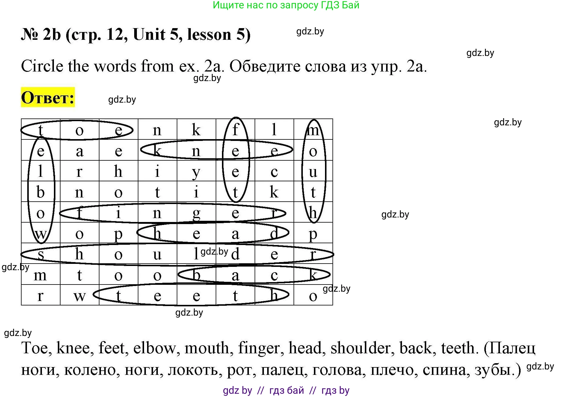 Английский язык (english), 5 класс Рабочая тетрадь (workbook), авторы: Лапицкая Людмила Михайловна (Lapitskaya Ludmila), Калишевич Алла Ивановна, Севрюкова Татьяна Юрьевна, Седунова Наталья Михайловна (Sedunova Natalia), издательство Аверсэв, Минск, 2020, оранжевого цвета, Часть 2, страница 12, номер 2b, Решение