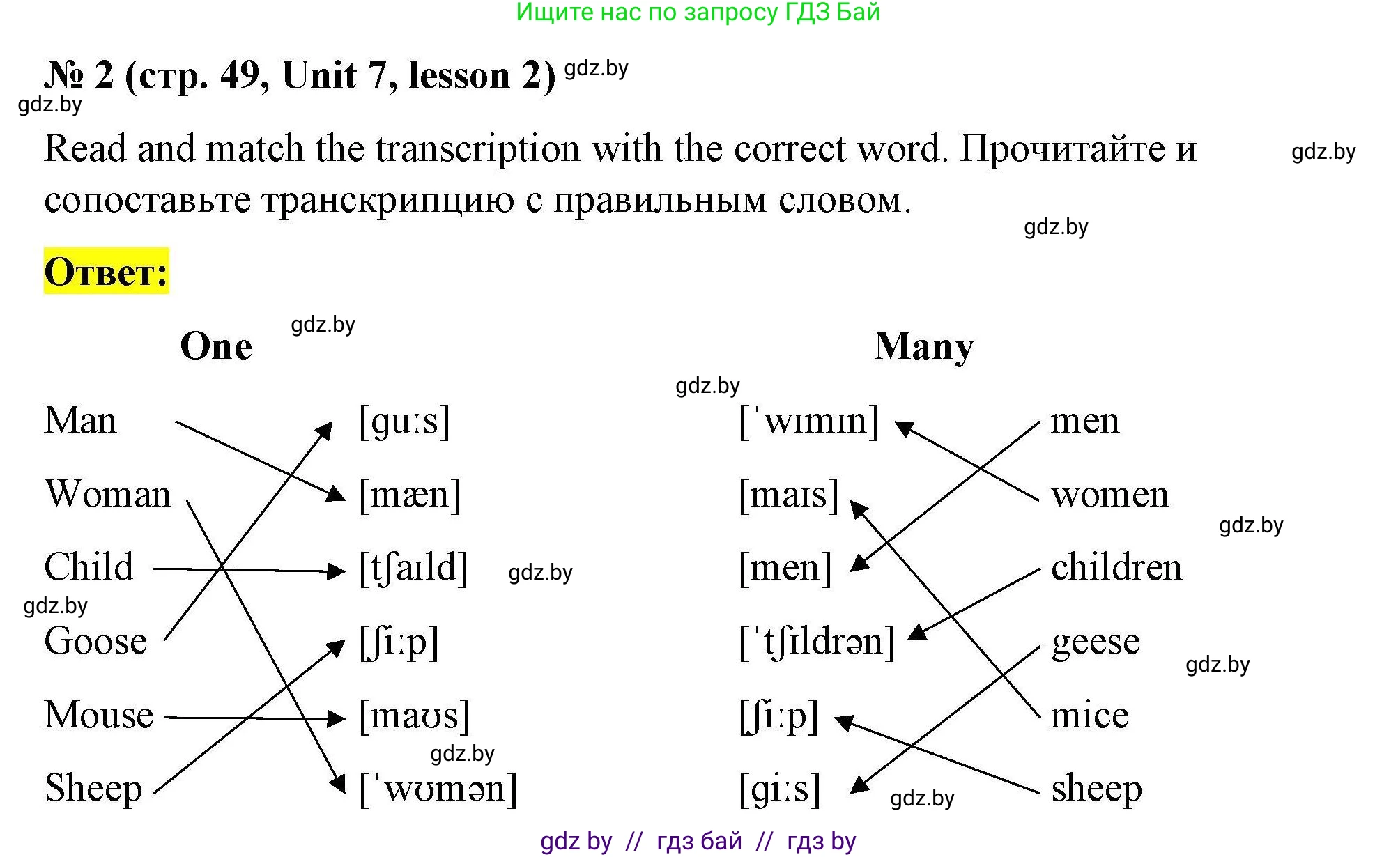 Английский язык (english), 5 класс Рабочая тетрадь (workbook), авторы: Лапицкая Людмила Михайловна (Lapitskaya Ludmila), Калишевич Алла Ивановна, Севрюкова Татьяна Юрьевна, Седунова Наталья Михайловна (Sedunova Natalia), издательство Аверсэв, Минск, 2020, оранжевого цвета, Часть 2, страница 49, номер 2, Решение