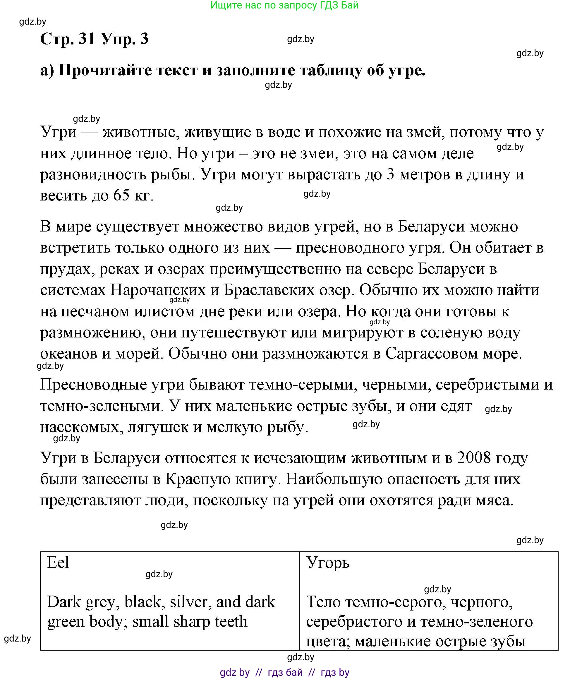 Английский язык (english), 6 класс Рабочая тетрадь (workbook), авторы: Демченко Наталья Валентиновна, Севрюкова Татьяна Юрьевна, Юхнель Наталья Валентиновна, Наумова Елена Георгиевна, Рыбалко О Н, Манешина А В, Маслёнченко Н А, Бушуева Эдите Владиславовна, издательство Аверсэв, Минск, 2020, зелёного цвета, Часть ( Part) 2, страница 31, номер 3, Решение