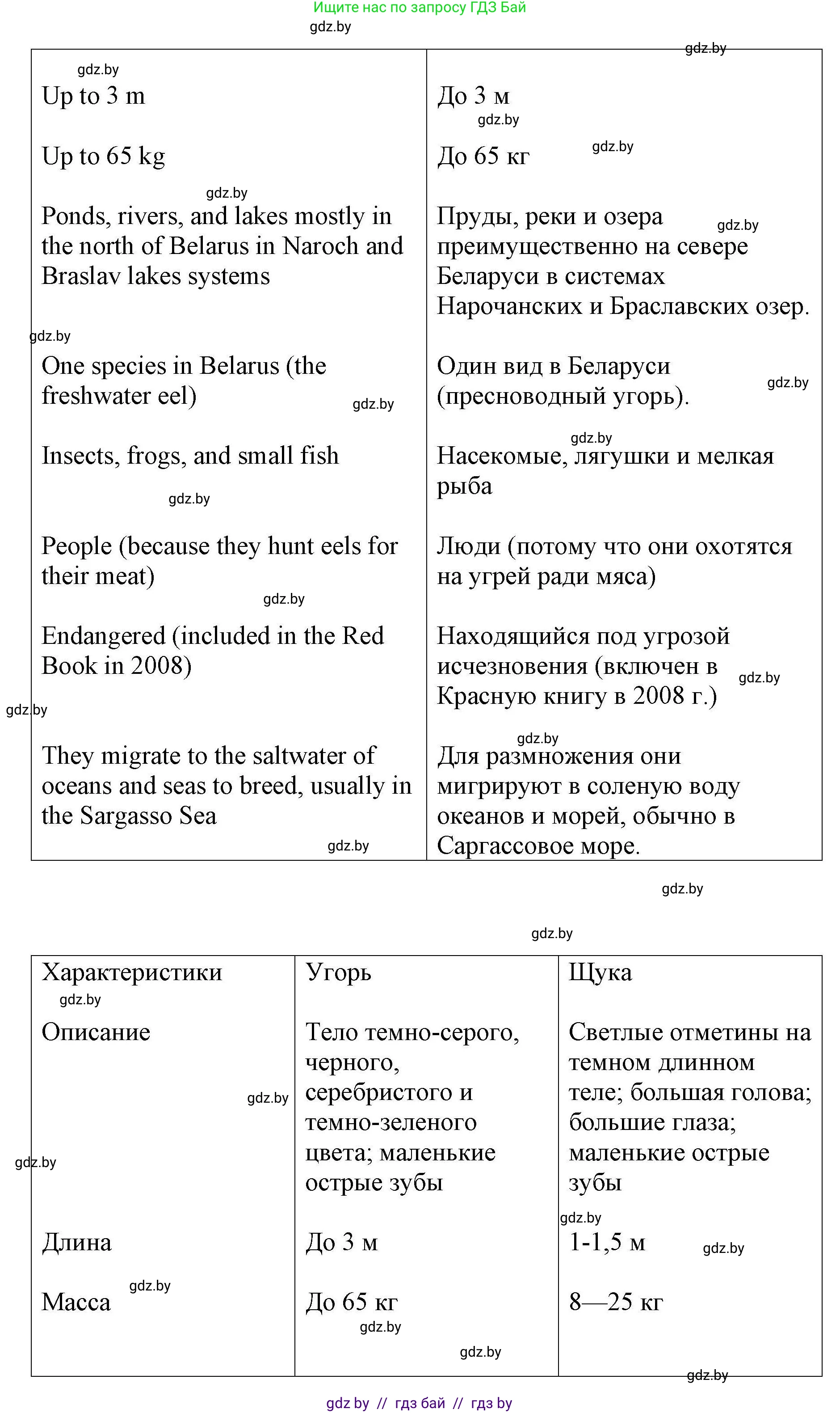 Английский язык (english), 6 класс Рабочая тетрадь (workbook), авторы: Демченко Наталья Валентиновна, Севрюкова Татьяна Юрьевна, Юхнель Наталья Валентиновна, Наумова Елена Георгиевна, Рыбалко О Н, Манешина А В, Маслёнченко Н А, Бушуева Эдите Владиславовна, издательство Аверсэв, Минск, 2020, зелёного цвета, Часть ( Part) 2, страница 31, номер 3, Решение (продолжение 2)