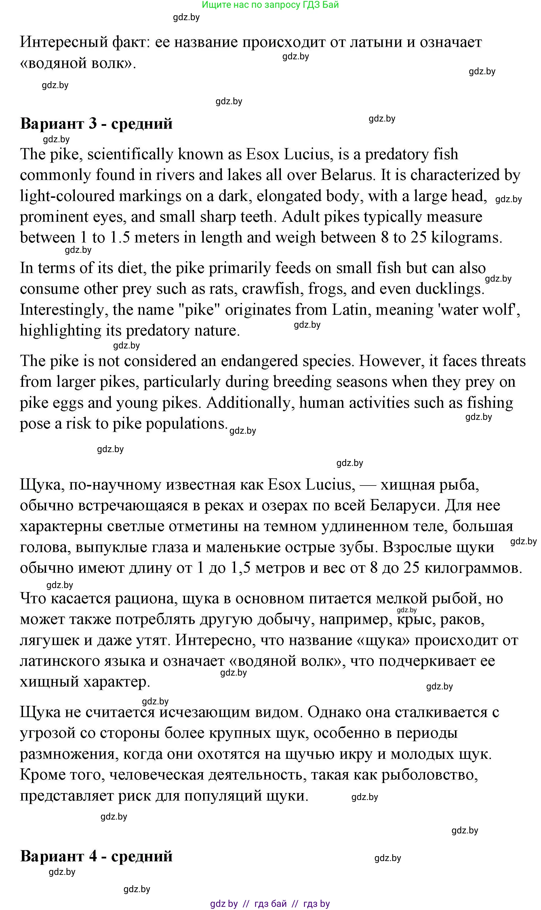 Английский язык (english), 6 класс Рабочая тетрадь (workbook), авторы: Демченко Наталья Валентиновна, Севрюкова Татьяна Юрьевна, Юхнель Наталья Валентиновна, Наумова Елена Георгиевна, Рыбалко О Н, Манешина А В, Маслёнченко Н А, Бушуева Эдите Владиславовна, издательство Аверсэв, Минск, 2020, зелёного цвета, Часть ( Part) 2, страница 31, номер 3, Решение (продолжение 5)