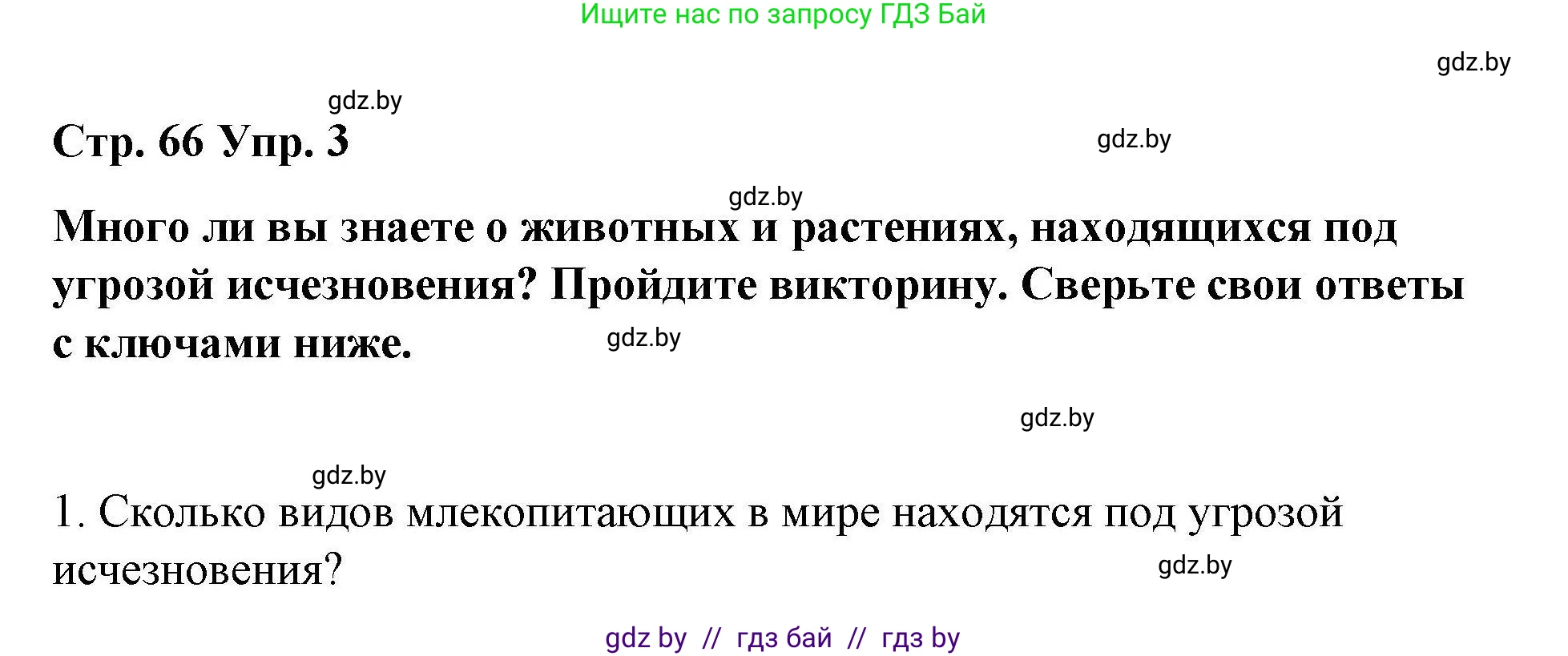 Английский язык (english), 6 класс Рабочая тетрадь (workbook), авторы: Демченко Наталья Валентиновна, Севрюкова Татьяна Юрьевна, Юхнель Наталья Валентиновна, Наумова Елена Георгиевна, Рыбалко О Н, Манешина А В, Маслёнченко Н А, Бушуева Эдите Владиславовна, издательство Аверсэв, Минск, 2020, зелёного цвета, Часть ( Part) 2, страница 66, номер 3, Решение