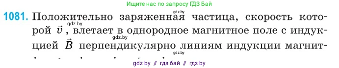 Физика, 10 класс Сборник задач, авторы: Дорофейчик Владимир Владимирович, Белая Ольга Николаевна, издательство Национальный институт образования, Минск, 2022, страница 244, номер 1081, Условие
