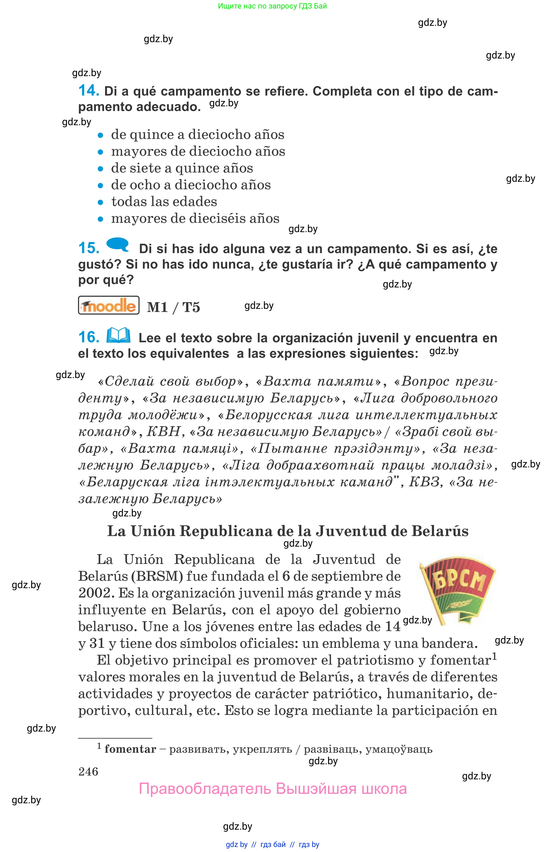 Испанский язык, 10 класс Учебник, авторы: Гриневич Елена Карловна, Янукенас Ольга Викторовна, издательство Вышэйшая школа, Минск, 2019, оранжевого цвета, страница 246